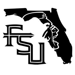 NCAA Football FSU Seminoles Florida State Vinyl Decal sticker 5"